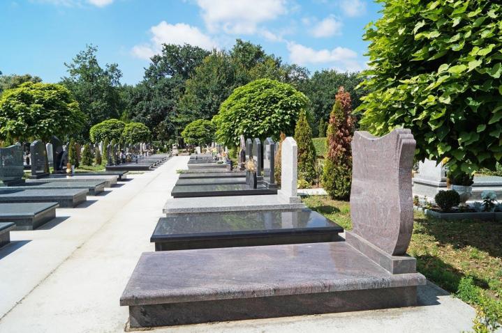 Faites appel à nos services pour l’entretenir, que vous soyez à Orthez ou dans une ville voisine.